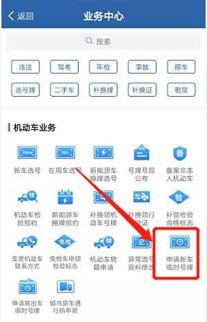 临时牌照备案机动车