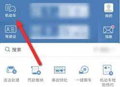 新车上牌后的备案流程