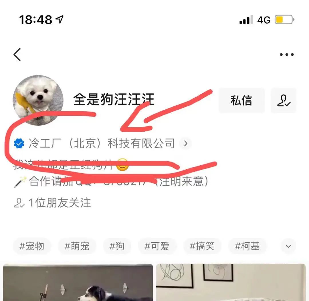 视频备案号有哪些