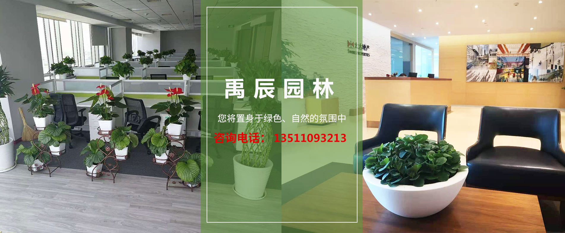 禹州绿城兰园备案名叫什么