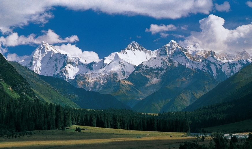 新疆人去上海住酒店需要备案吗