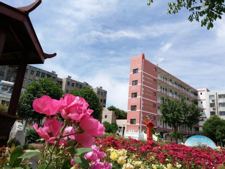 巩义网站建设的四个步骤