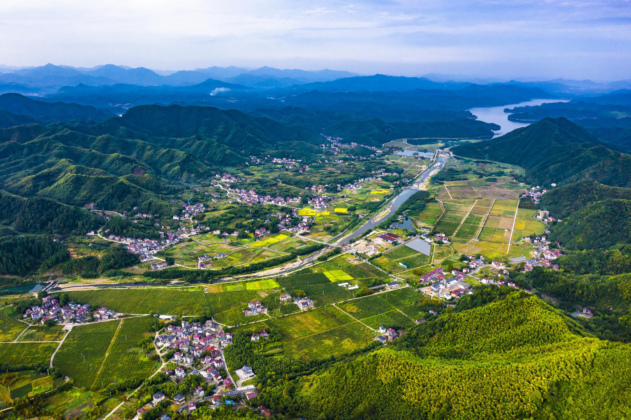 乡村兽医登记备案如何查询