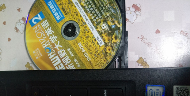 现在的电脑主机不能放光盘吗