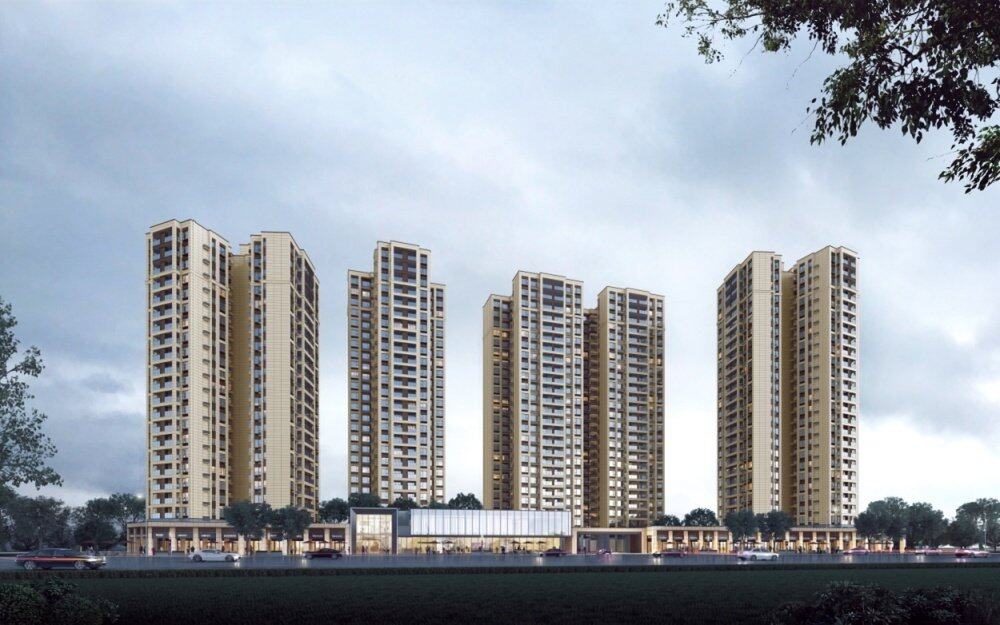 中南十二集备案价