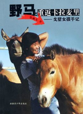 野马改黑武士要备案吗