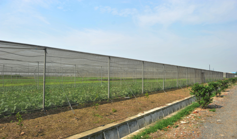 设施农业备案恒温冷藏库建设