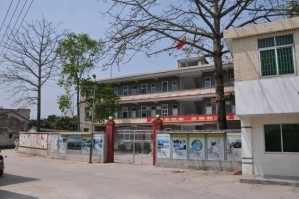 高明陈村网站建设