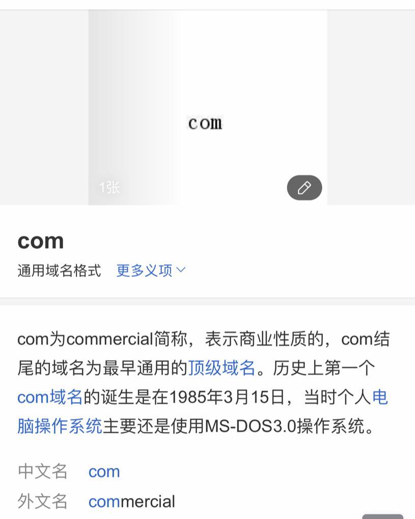 以com域名结尾的网站