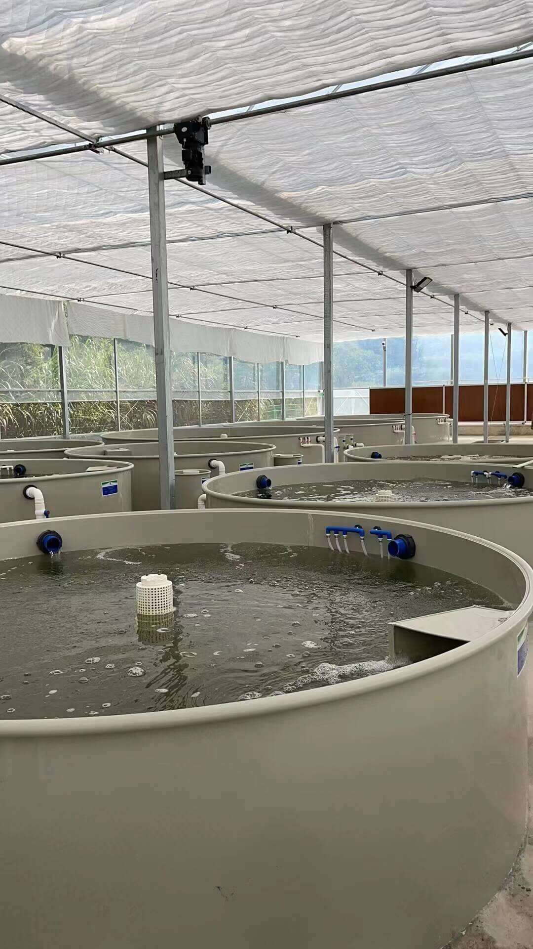 广西水产养殖备案