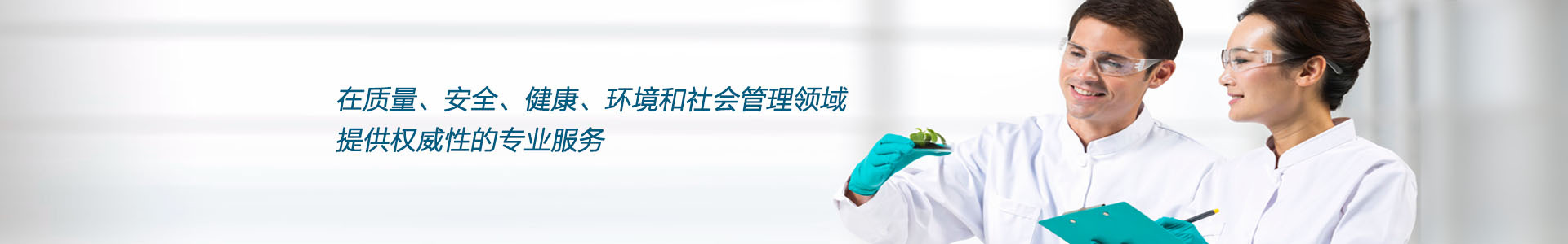 企业手机网站建设服务热线