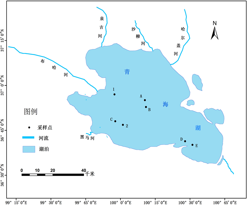 青海服务器租用云空间