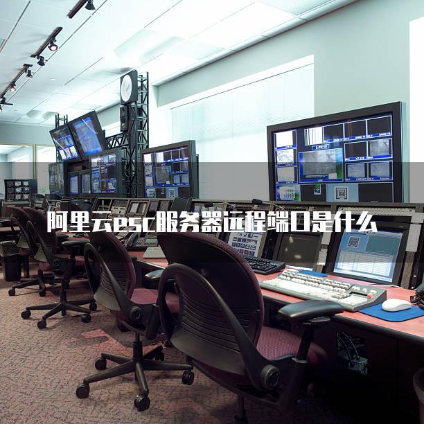 阿里云esc服务器共享型啥意思