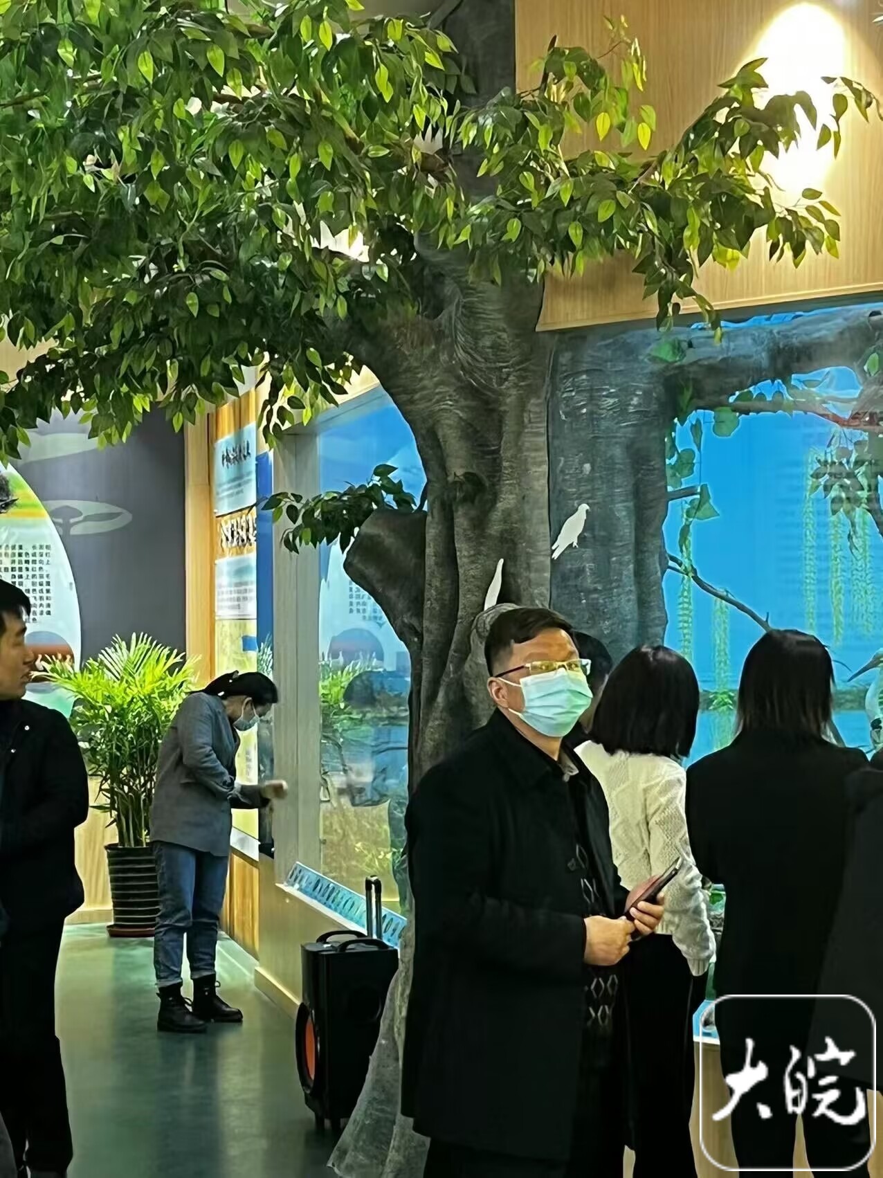 野生动物观赏备案登记