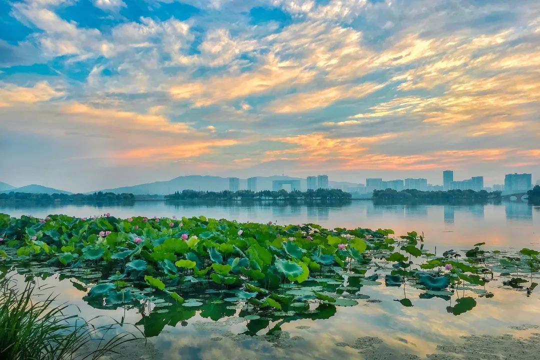 滨湖澜园g12交房日期备案价