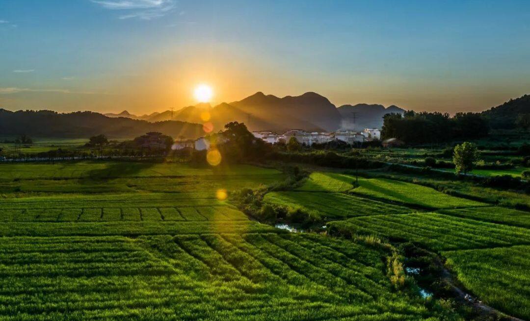 怎样为家乡建设网站