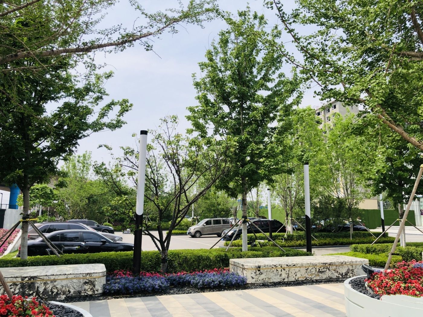 沈阳米兰颂备案价
