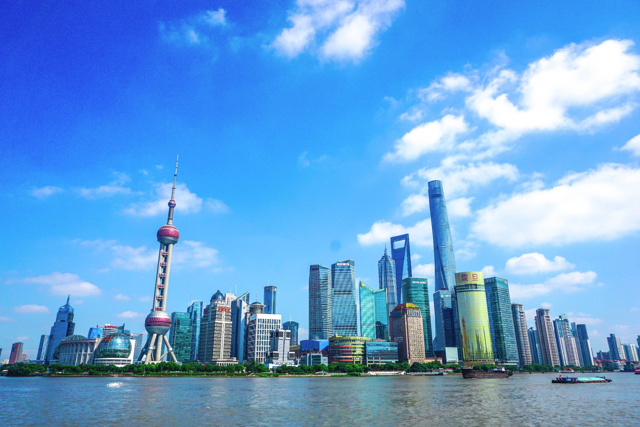 上海交警app备案的车辆不显示