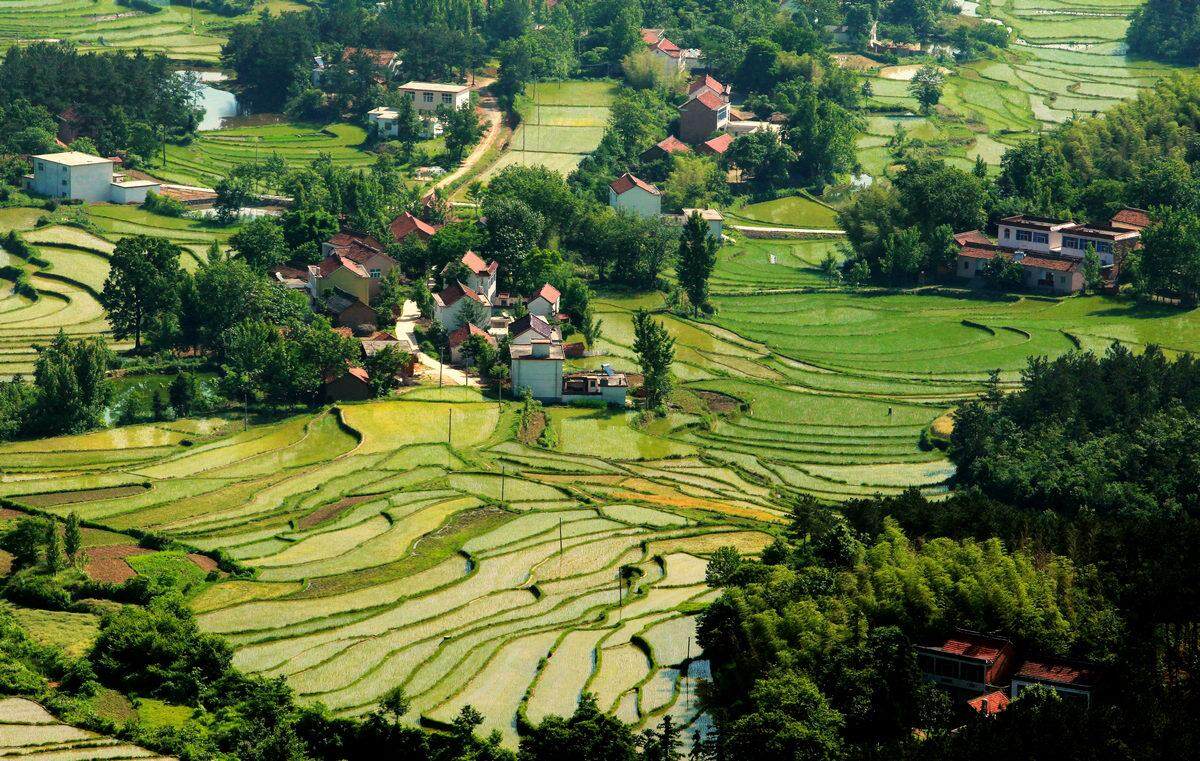 固始久居名园项目备案价格