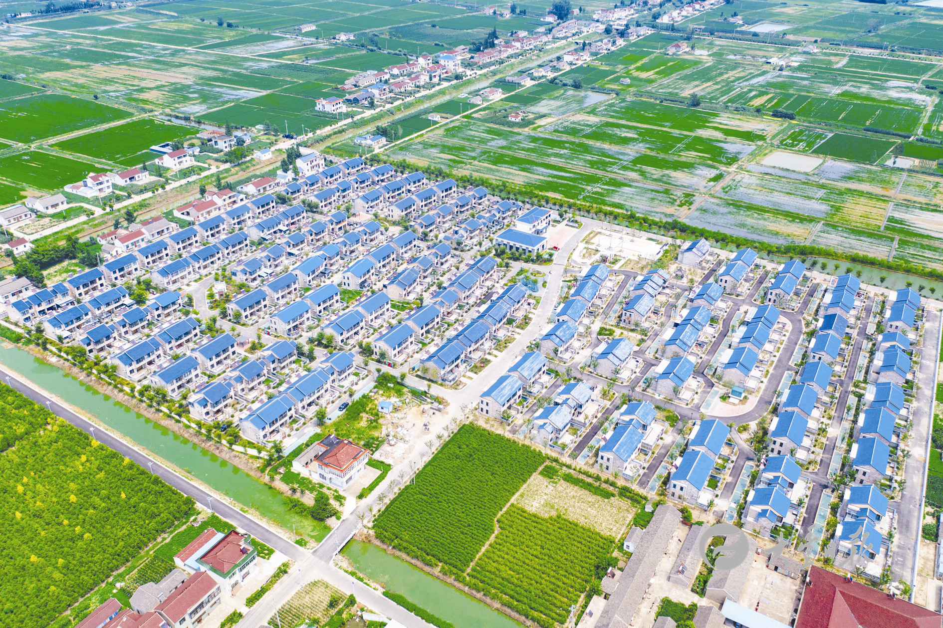 新都区大丰租赁备案在什么地方