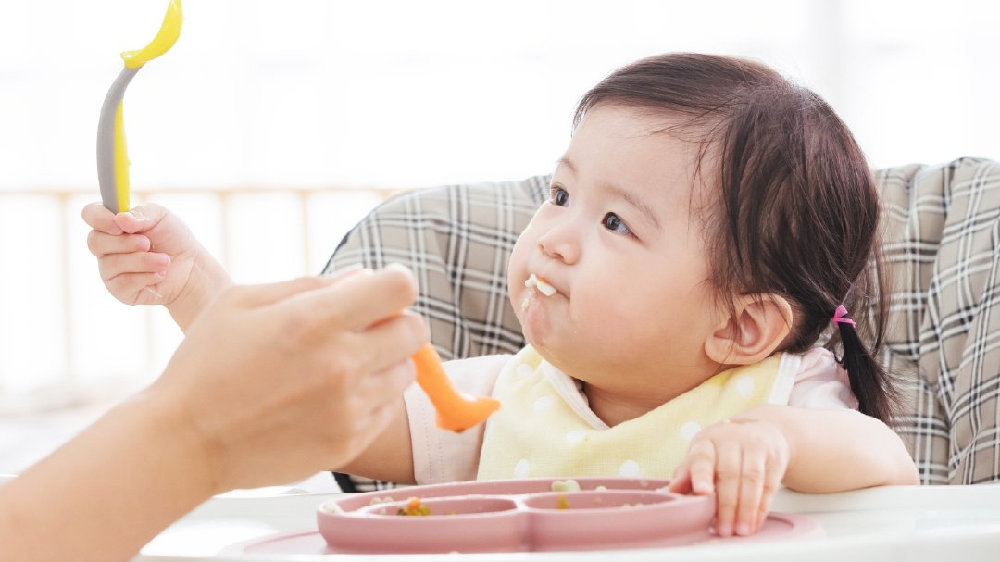 幼儿老师备案制和编制区别