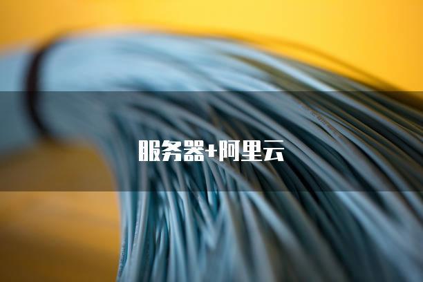 苏州阿里云服务器专业度