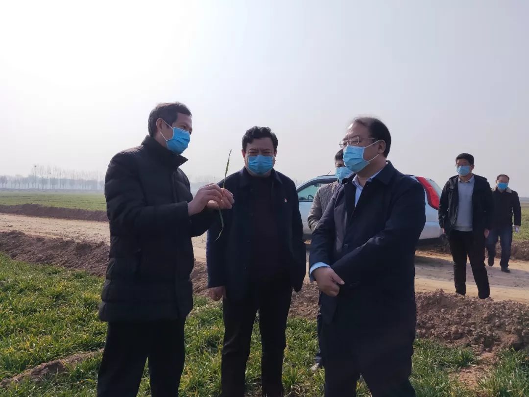 延津县房管局备案价公示网站