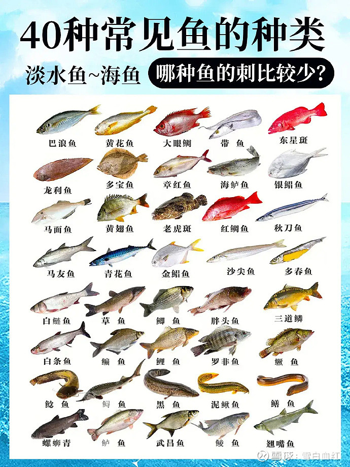 哪些主机厂用的at变速器