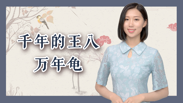 千年的王八万年的龟换电脑主机