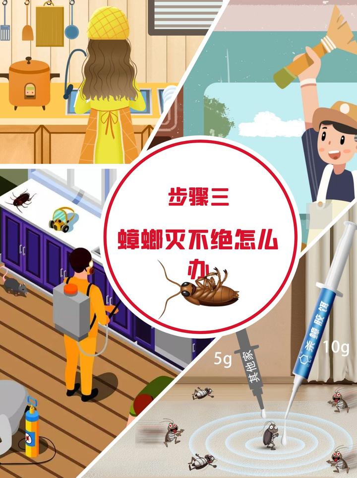怎么防止主机里的蟑螂进去