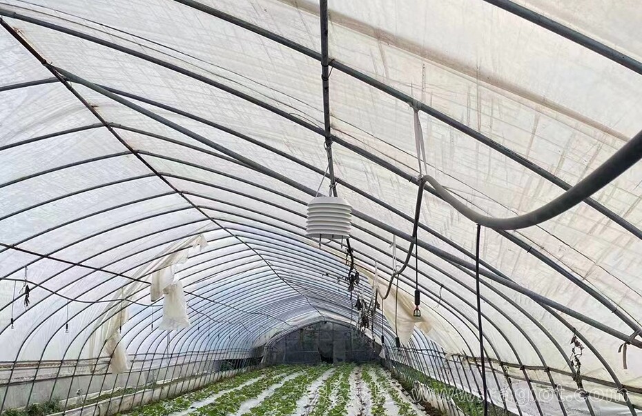 小规模种植大棚还用备案吗