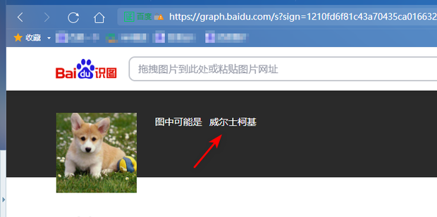 怎么搜索电脑主机名