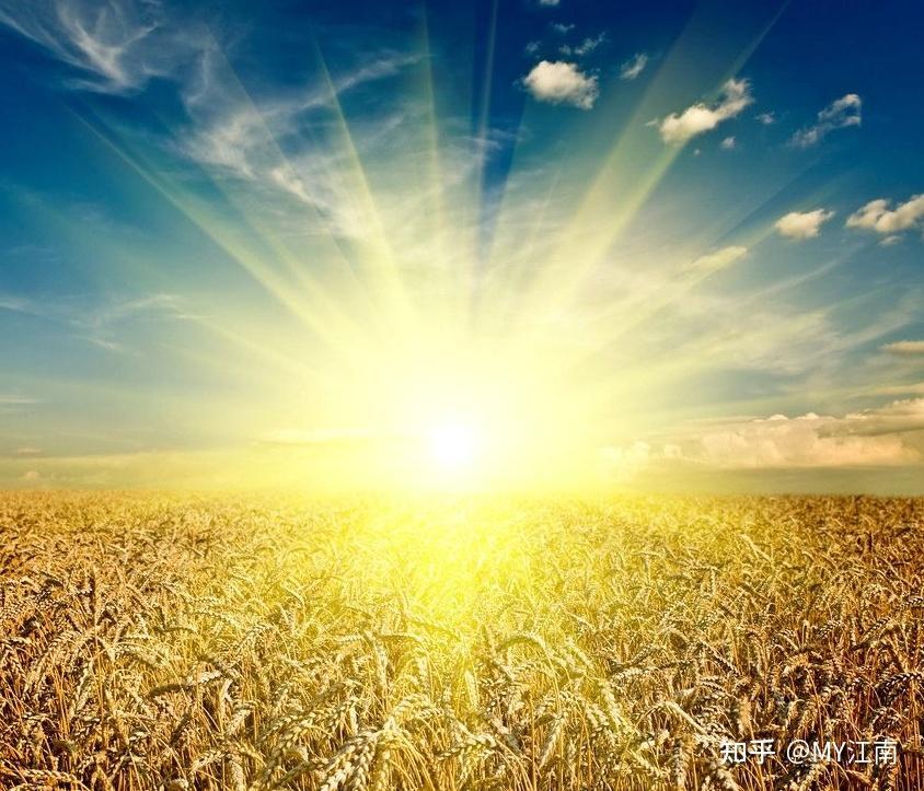 阳光租房备案房屋来源选什么