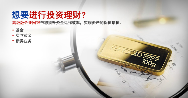 建设企业网银网站