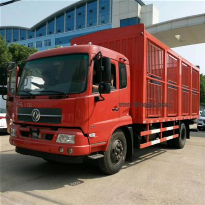 拉猪双胞胎备案车