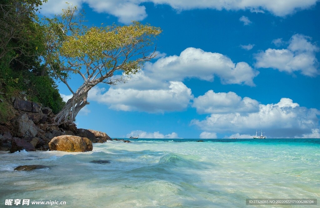 夏朗安装682f主机