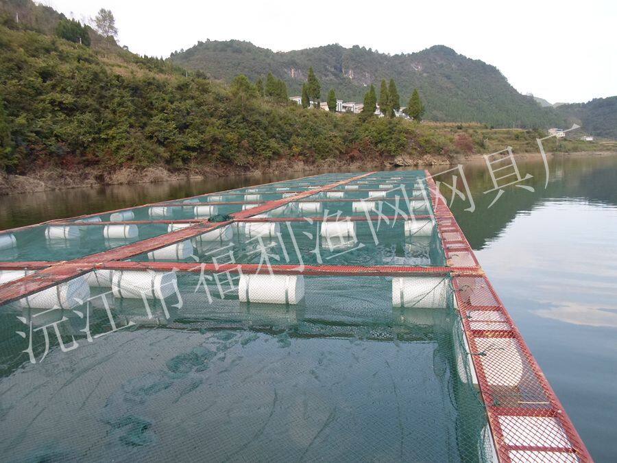 组装养鱼主机多少钱