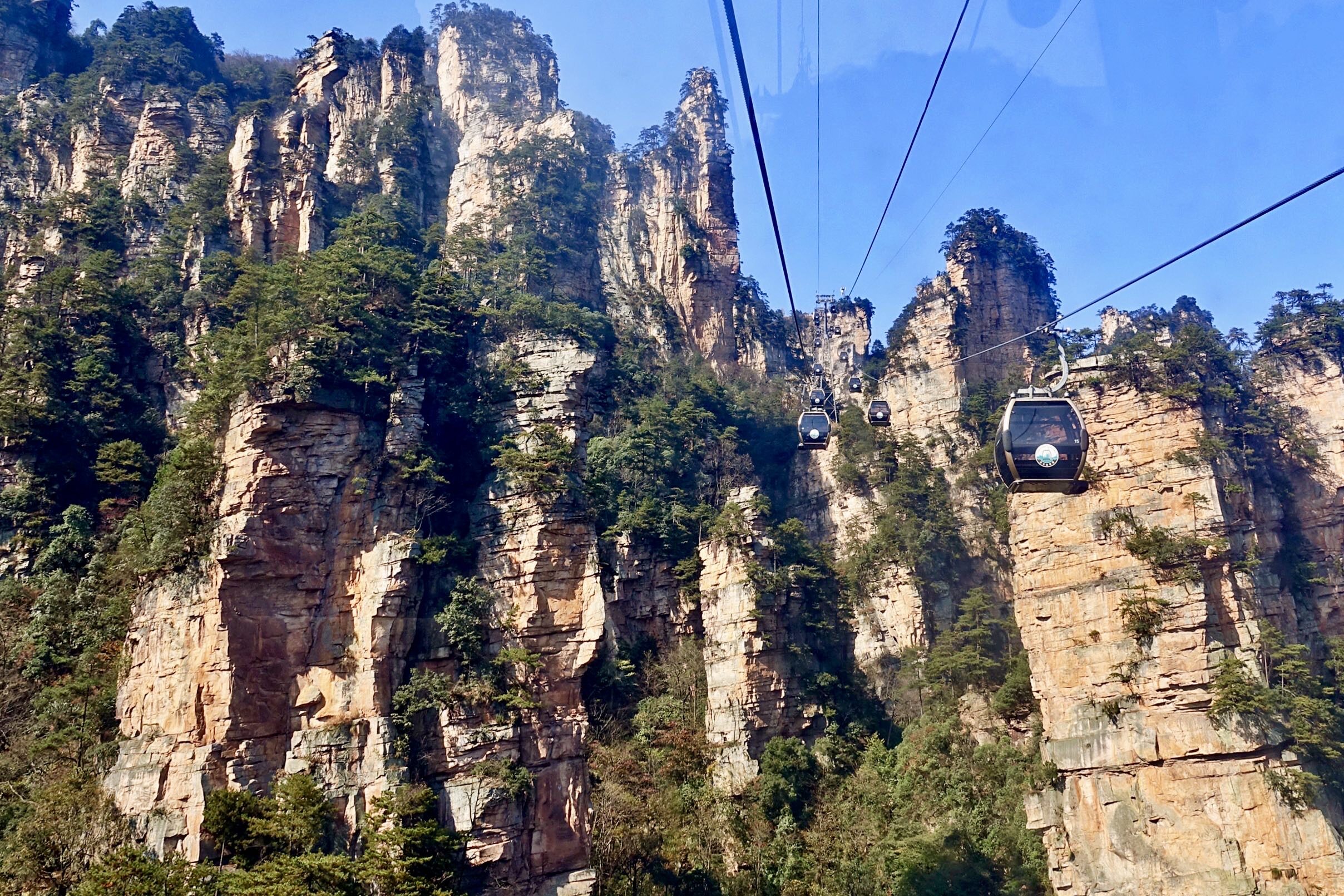 张家界品牌网站建设服务商