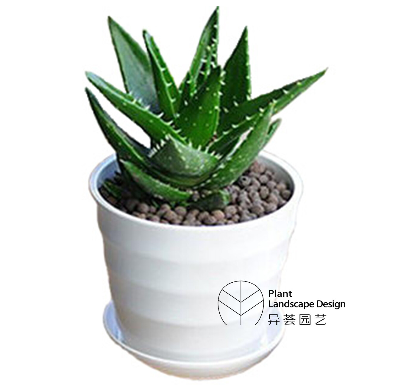 植荟小屋芦荟胶备案编号