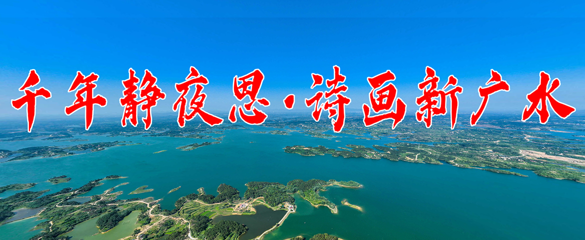 广水县网站建设