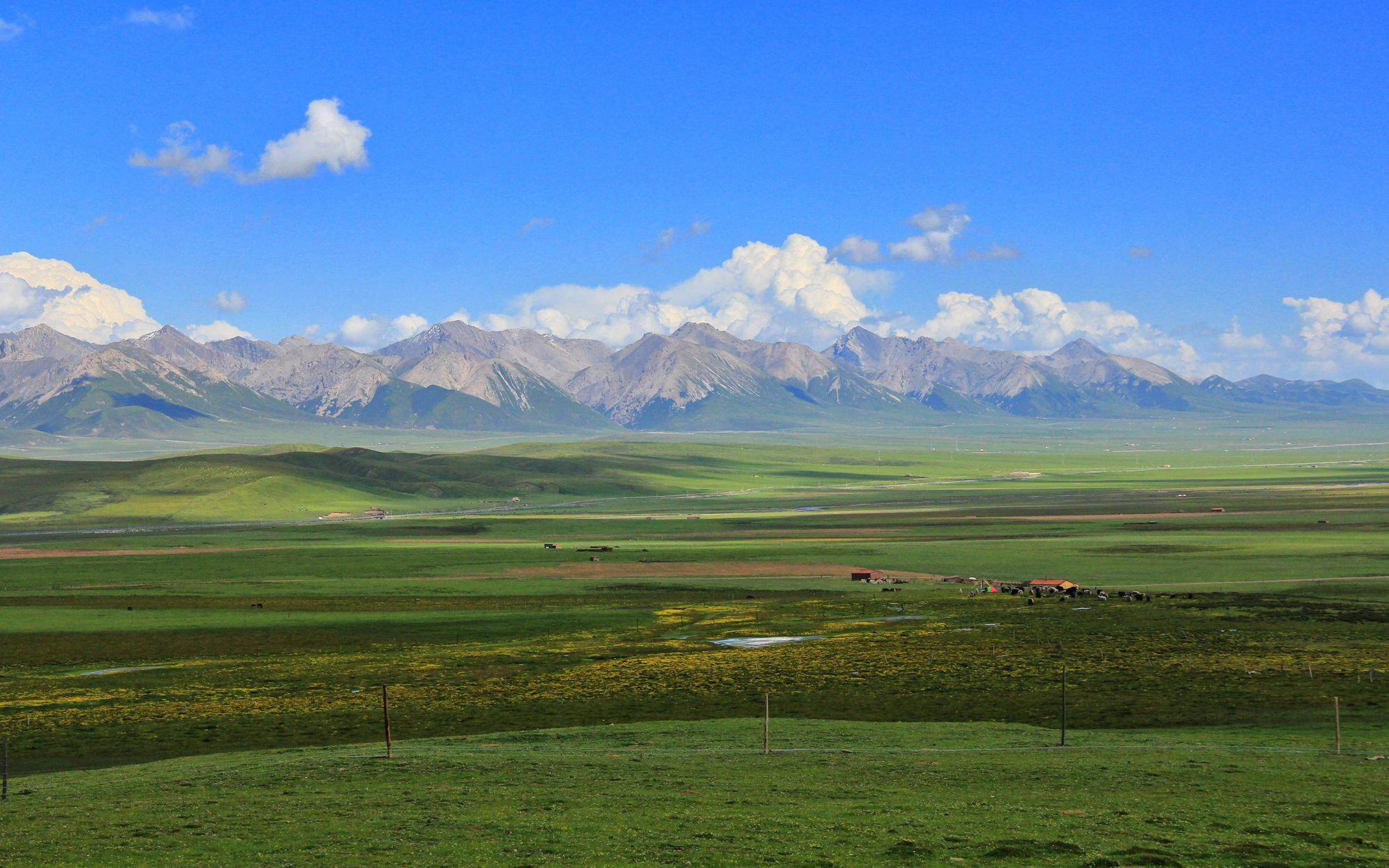 青海省政府备案条例