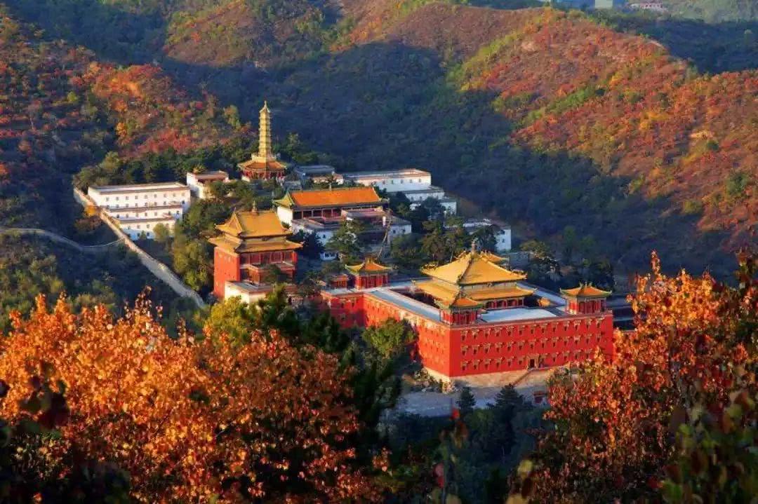 承德市新公司劳动备案网上流程