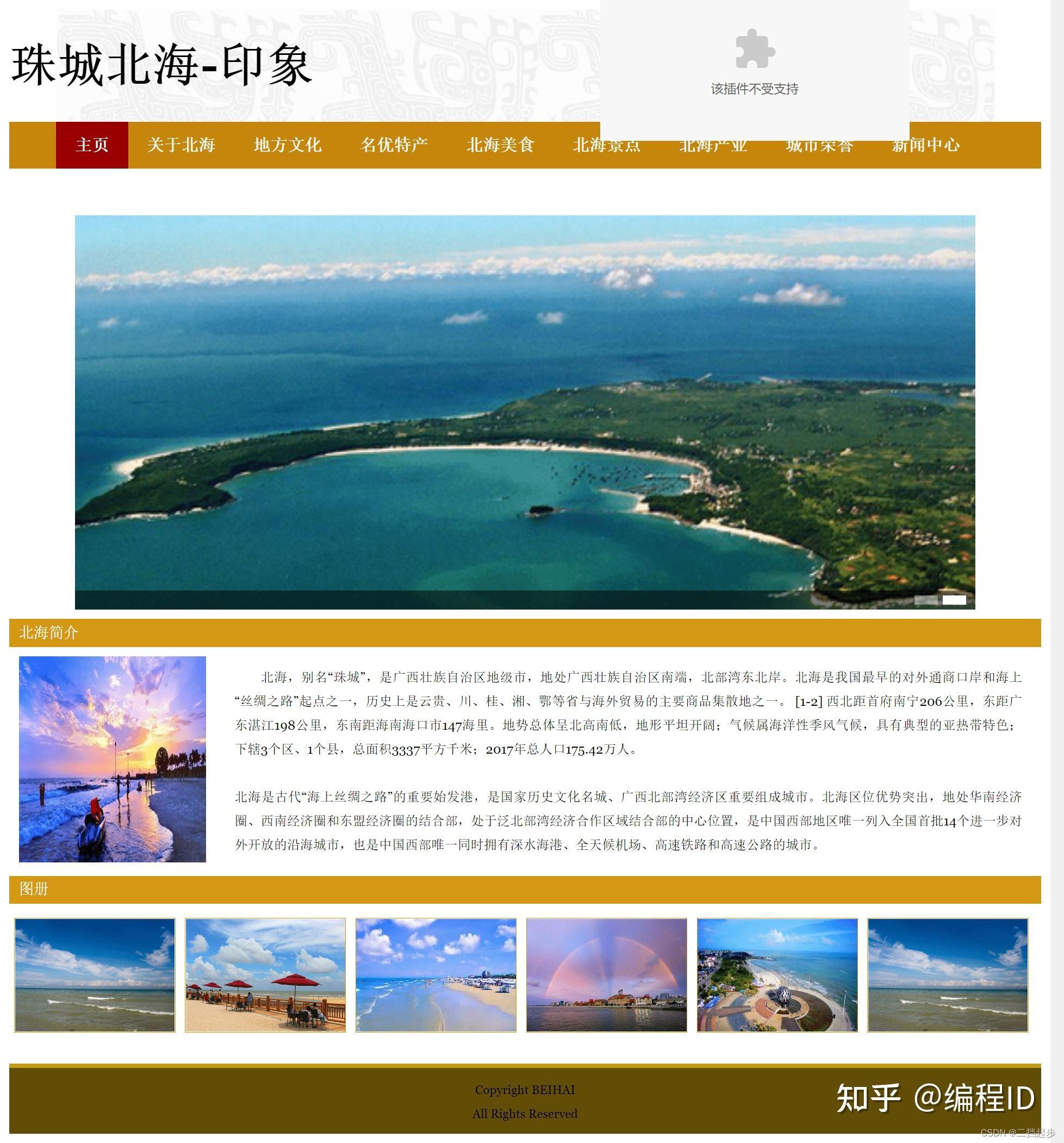 网站域名不能自己续费吗