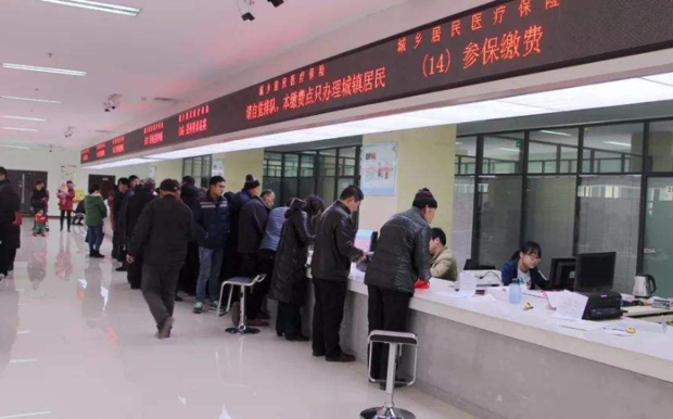 生育险备案在哪里查询