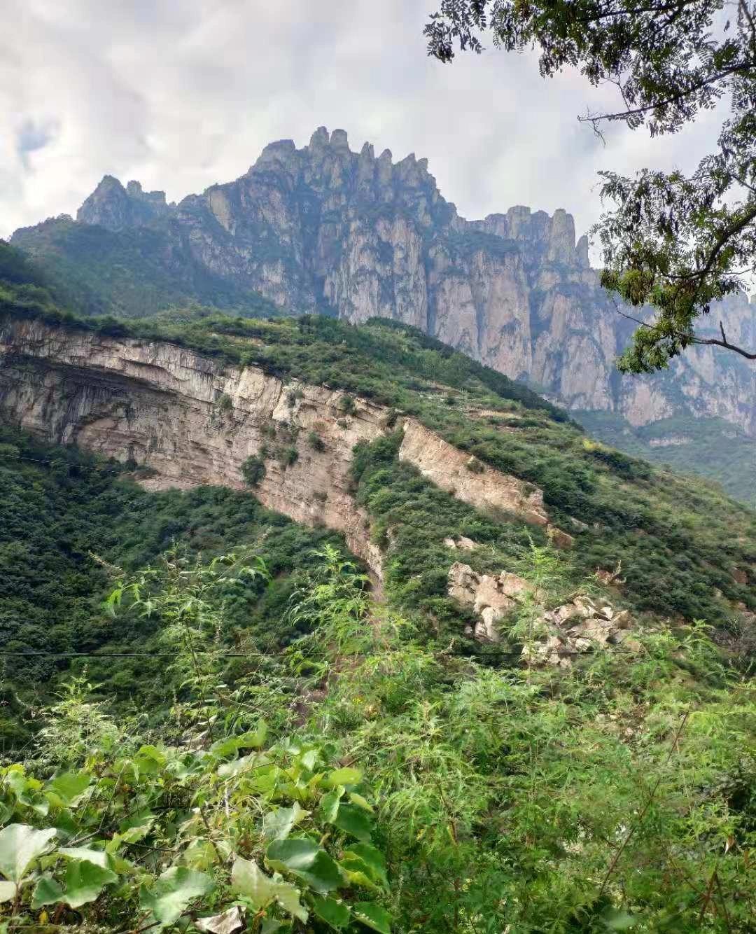 林州市机动车备案证明