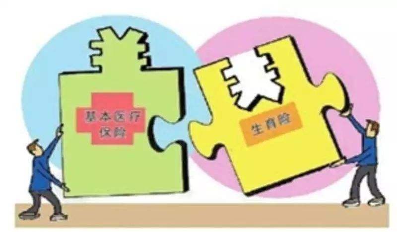 医保生育备案是什么意思