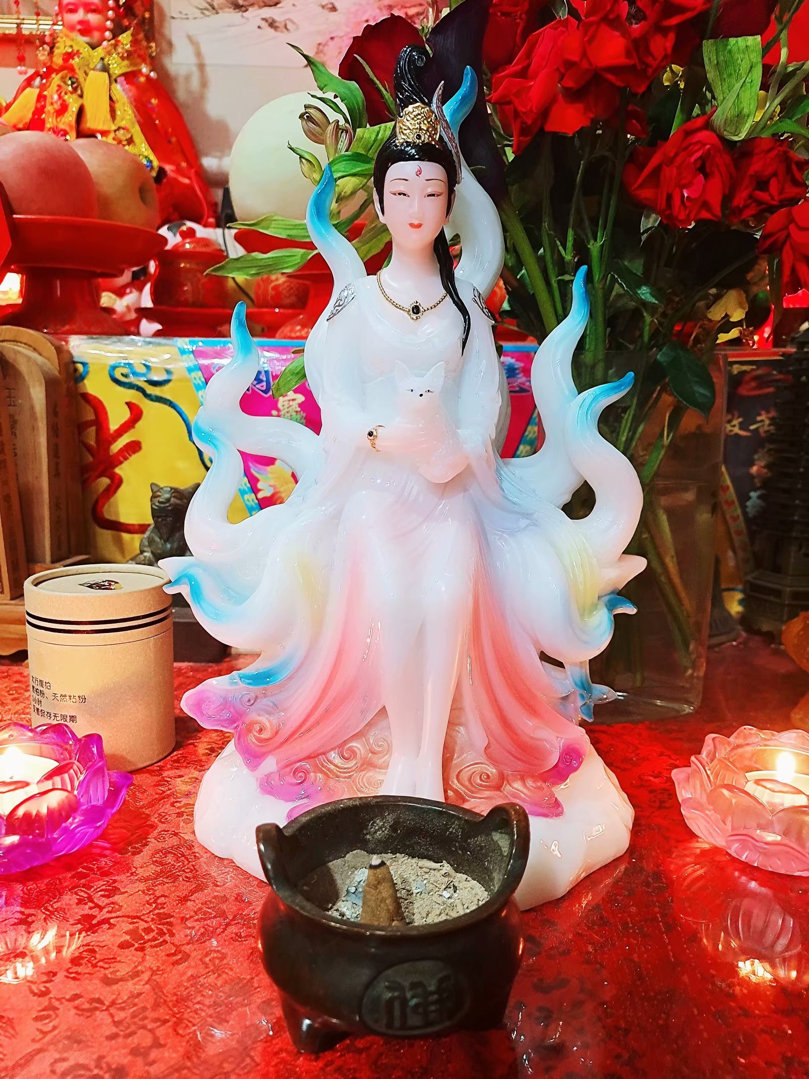 仙芝楼破壁灵芝孢子粉备案制