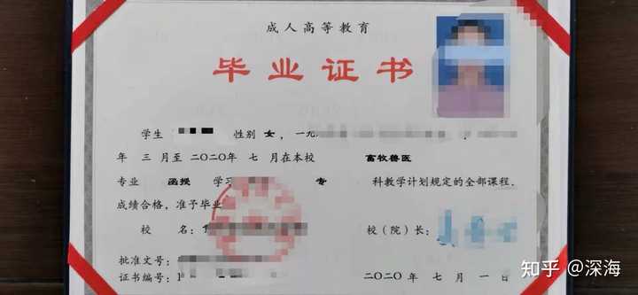 执业兽医师没备案