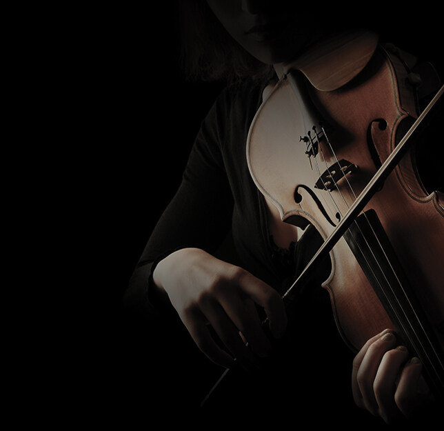 泊声背景音乐主机十大排名