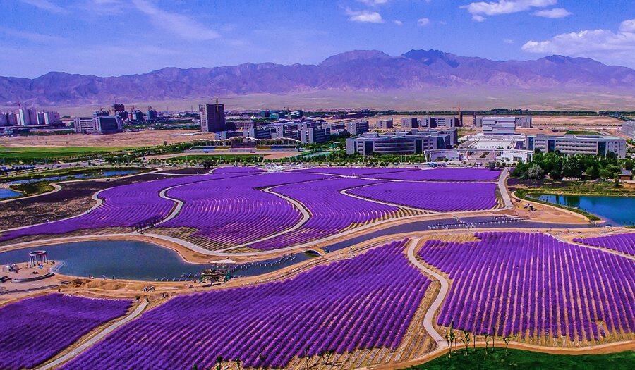 甘肃网速快的域名